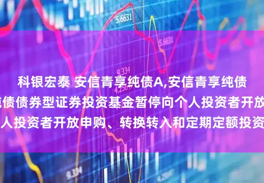 科银宏泰 安信青享纯债A,安信青享纯债C: 关于安信青享纯债债券型证券投资基金暂停向个人投资者开放申购、转换转入和定期定额投资业务的公告